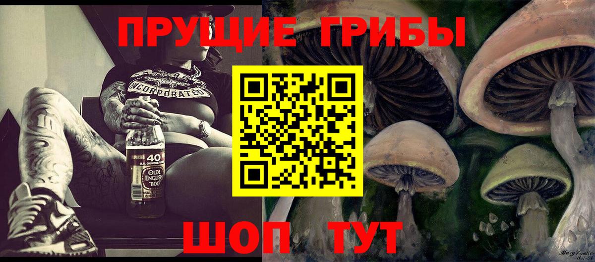 Михайловск  Галлюциногенные грибы Cubensis  Вход с VPN 